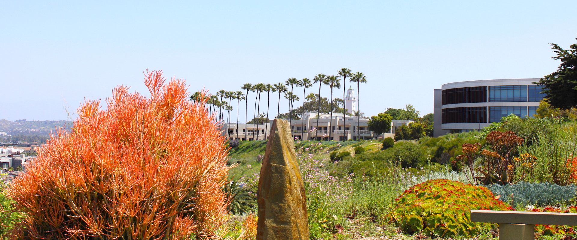 photo of LMU library